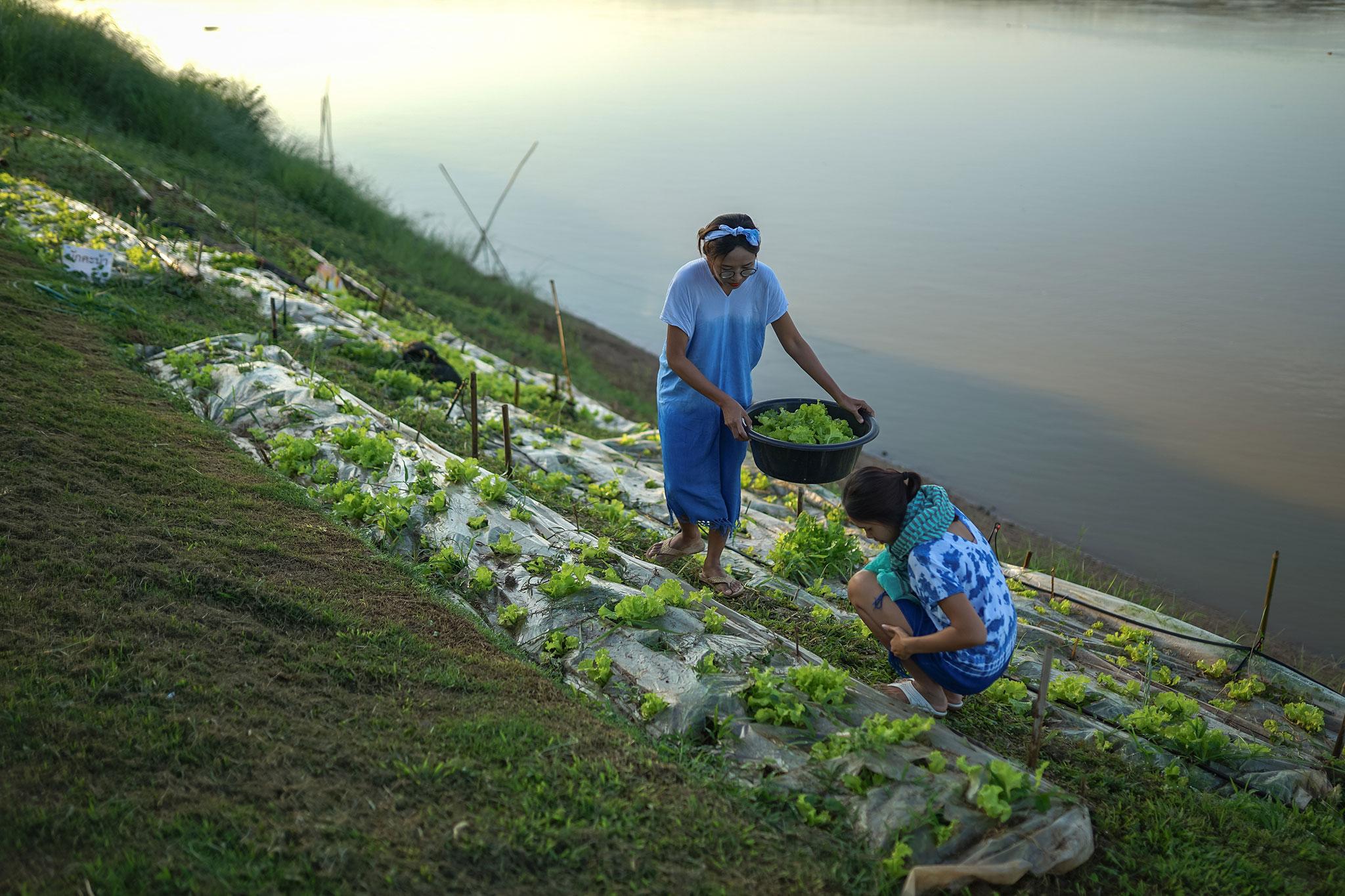Chiangkhan River Mountain Resort Chiang Khan Luaran gambar